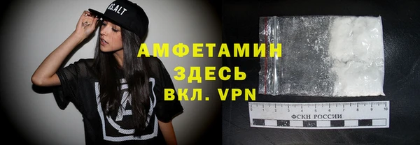 молекула духа Арсеньев