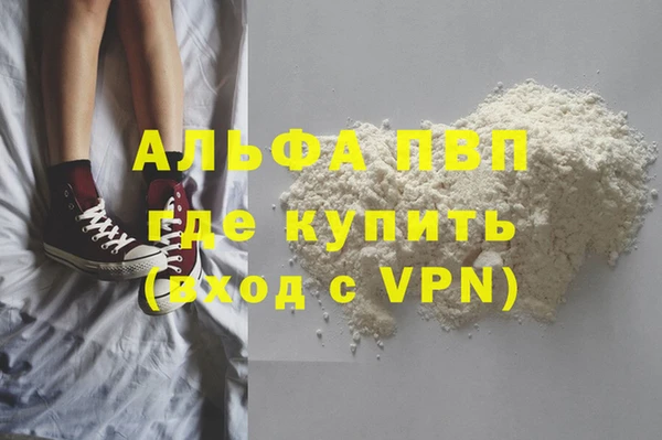 молекула духа Арсеньев