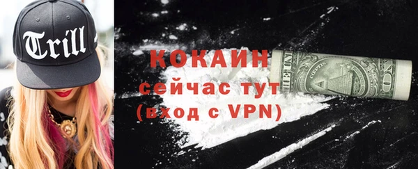 молекула духа Арсеньев