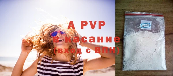 молекула духа Арсеньев